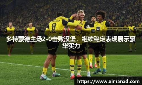 多特蒙德主场2-0击败汉堡，继续稳定表现展示豪华实力