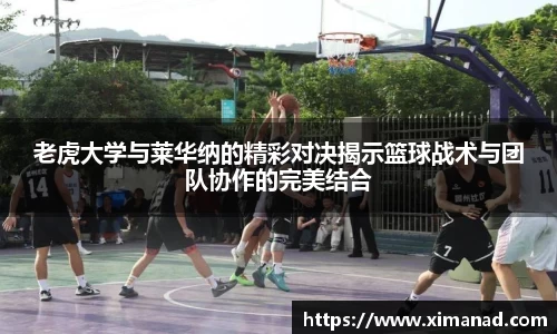 OB视讯官网
