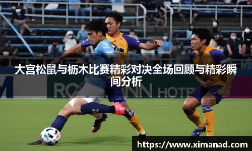 OB视讯